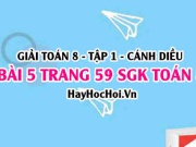 Giải bài 5 trang 59 Toán 8 Tập 1 SGK Cánh Diều